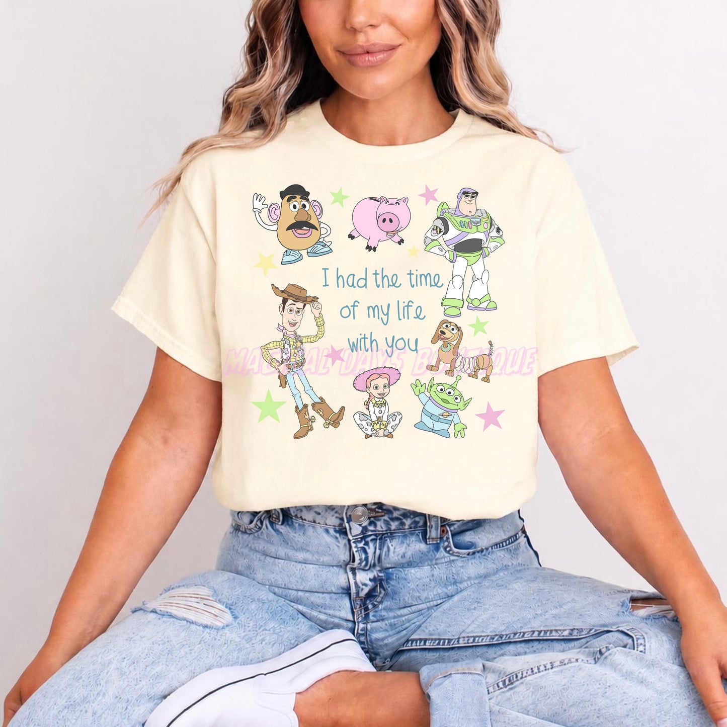 TOY STORY & TAYLOR SWIFT I HAD THE TIME OF MY LIFE T.SHIRT